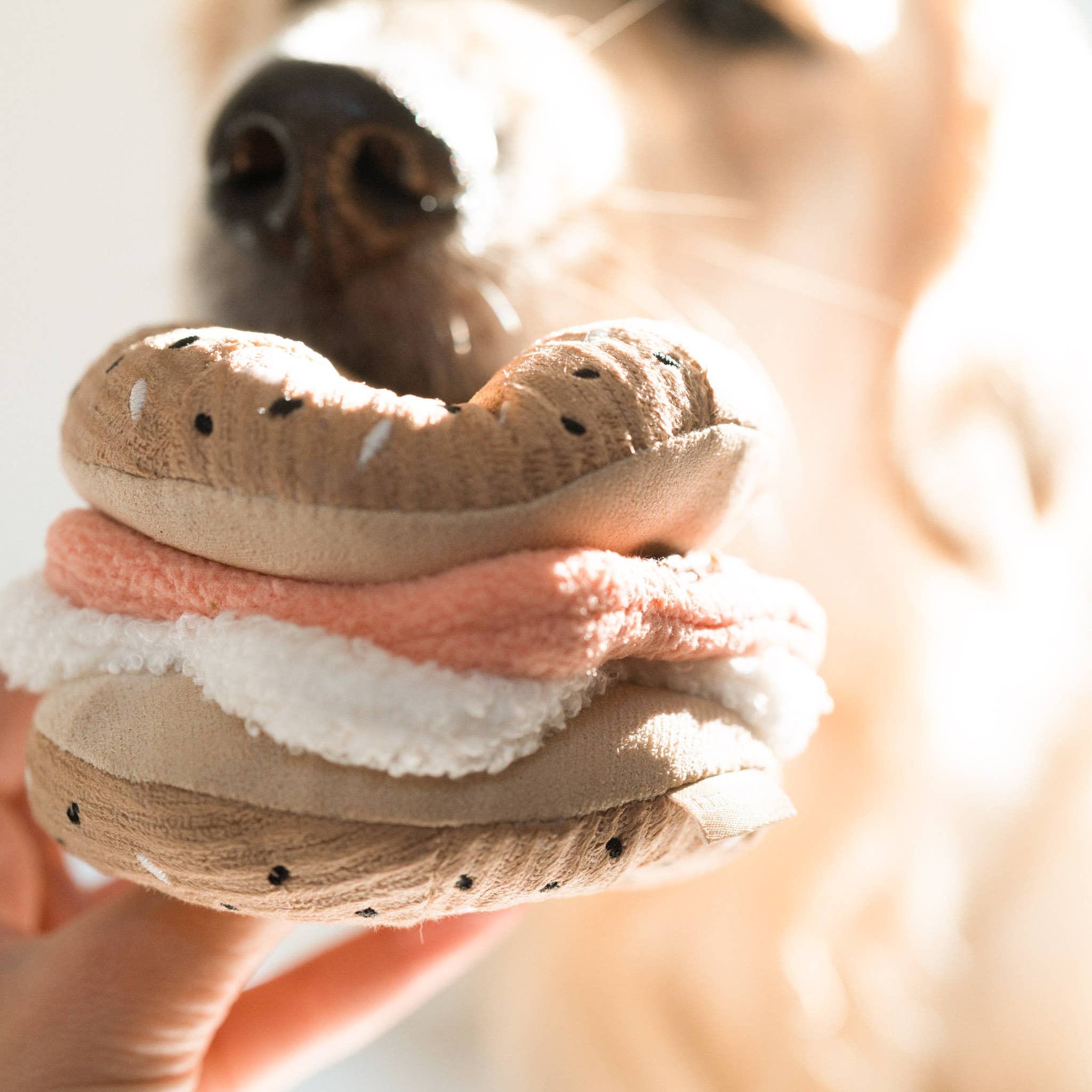 Gioco per cani Kit Bagel e Cetriolo Lambwolf Collective