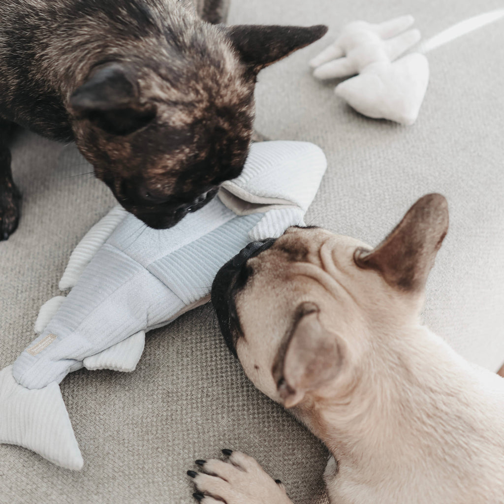 Gioco di arricchimento per cani TROUT – Lambwolf Collective