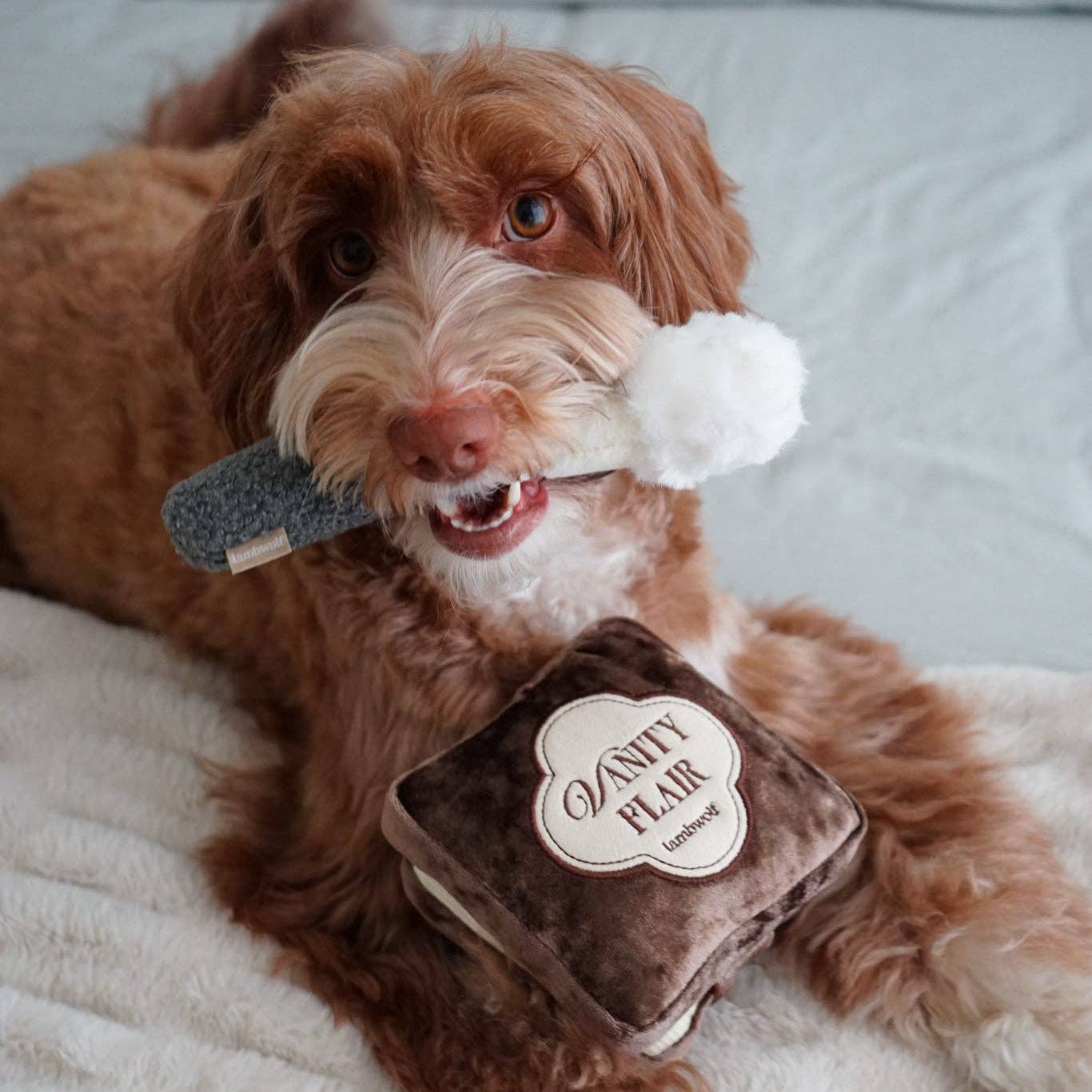 CIPRIA FISSANTE E PENNELLO // GIOCO DI ARRICCHIMENTO PER CANI // GIOCATTOLO SNUFFLE
