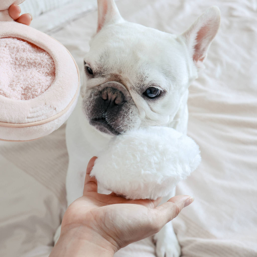 BLUSH // GIOCATTOLO DI ARRICCHIMENTO PER CANI // SNUFFLE