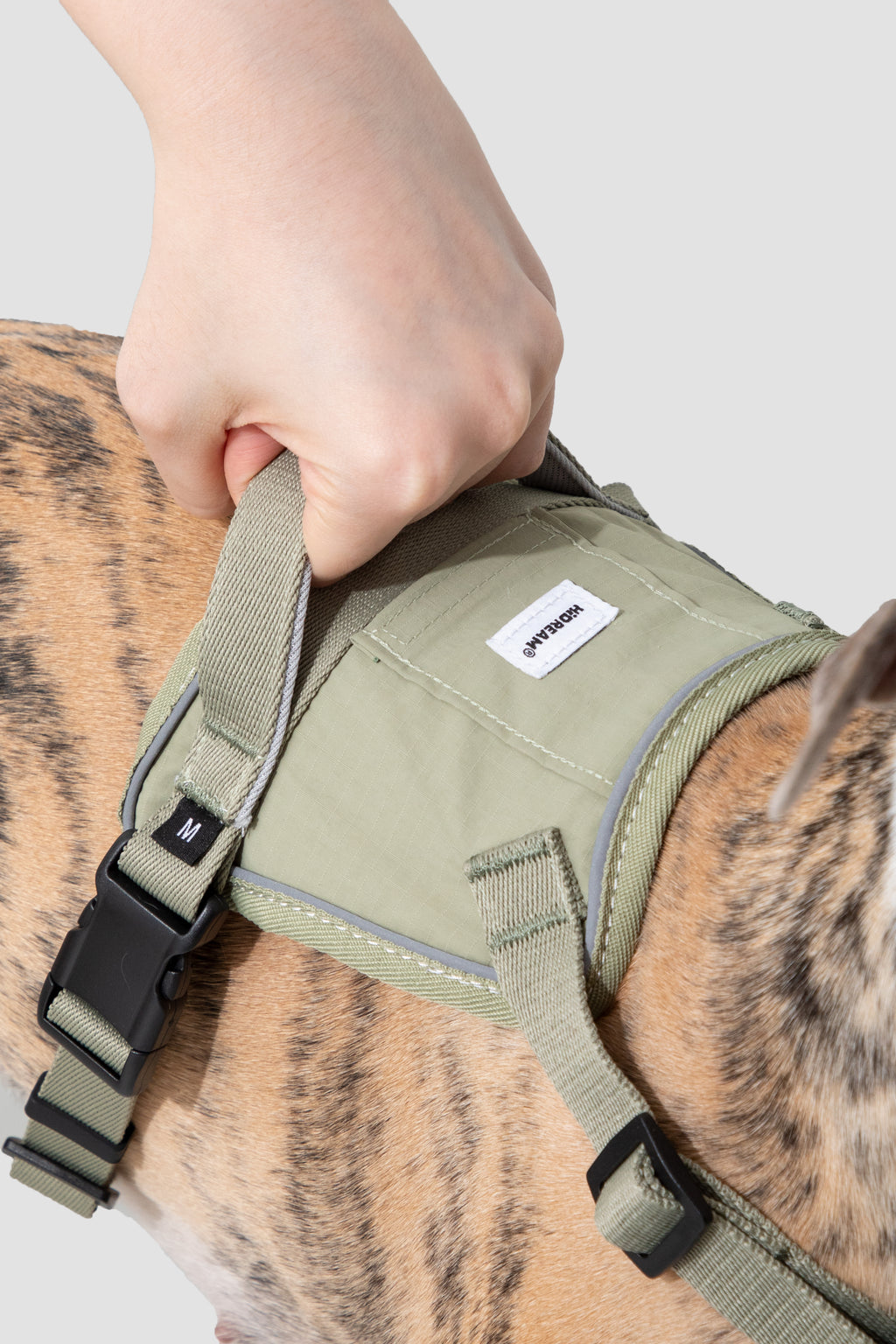 Pettorina Anti-Strappo Quick-On