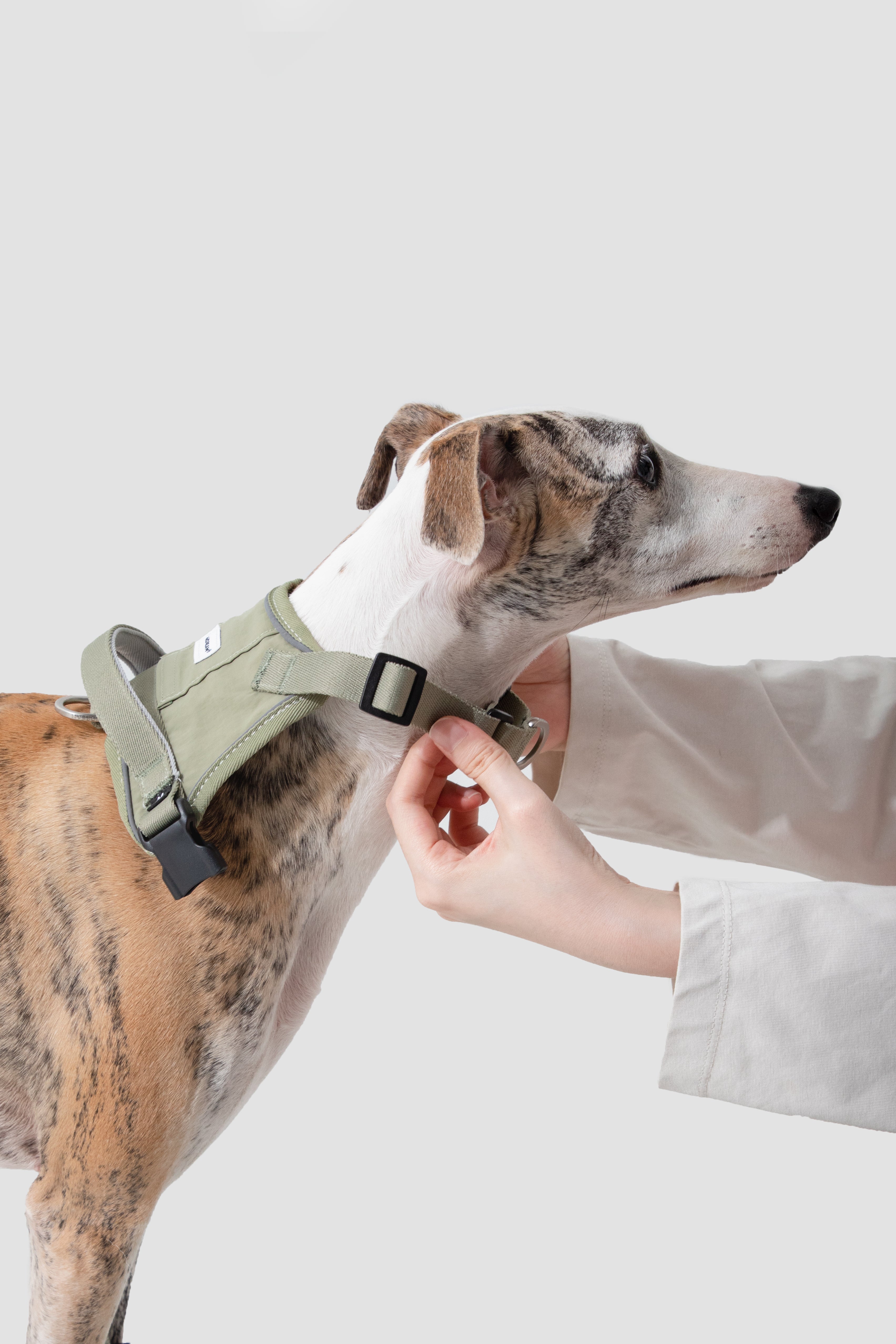 Pettorina Anti-Strappo Quick-On