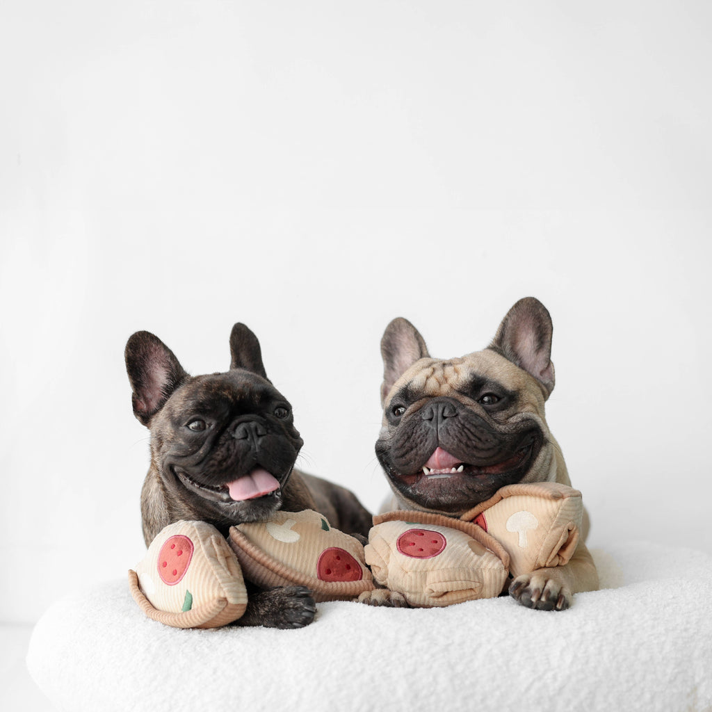 Gioco per cani 'Deep Dish Pizza' per arricchimento