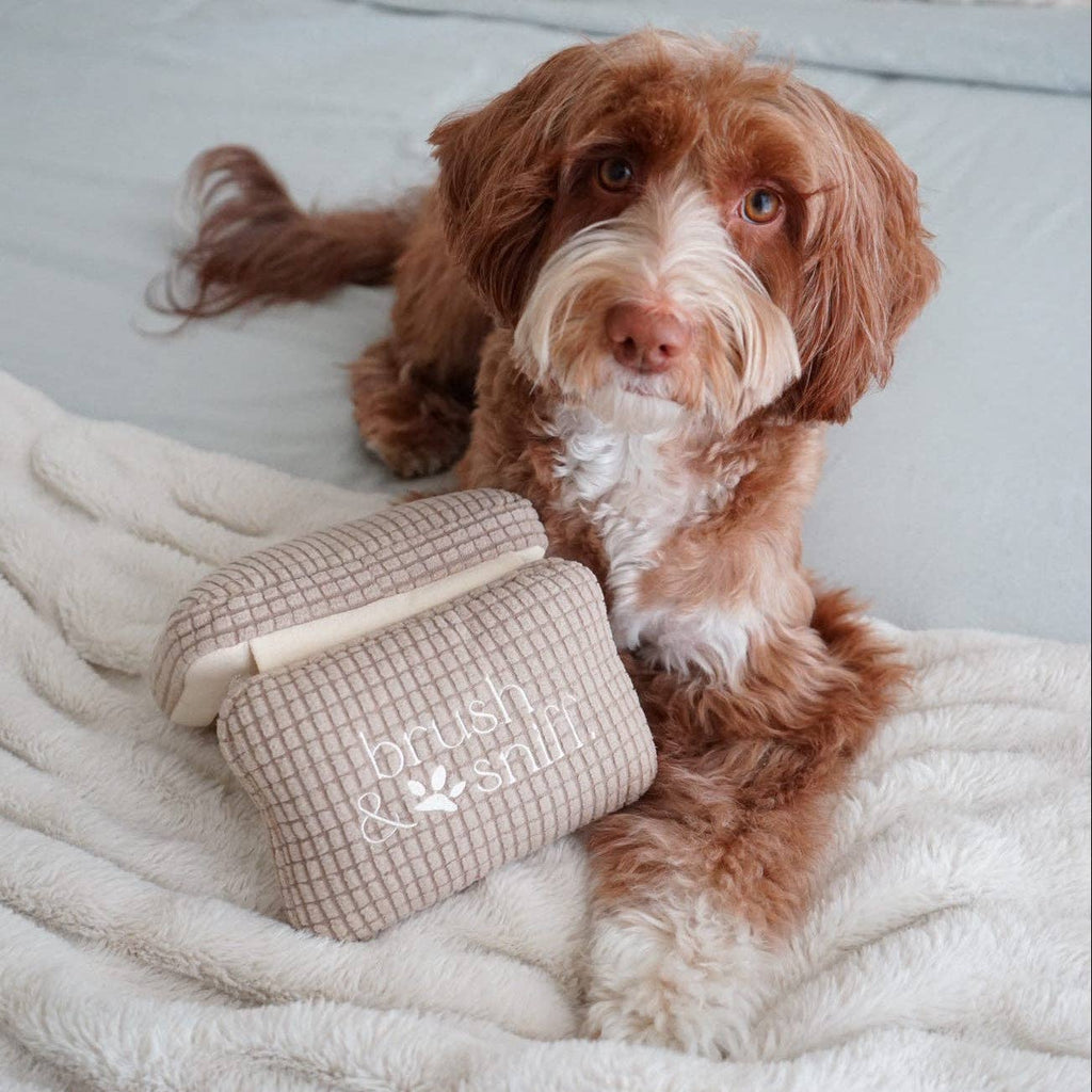 CIPRIA FISSANTE E PENNELLO // GIOCO DI ARRICCHIMENTO PER CANI // GIOCATTOLO SNUFFLE