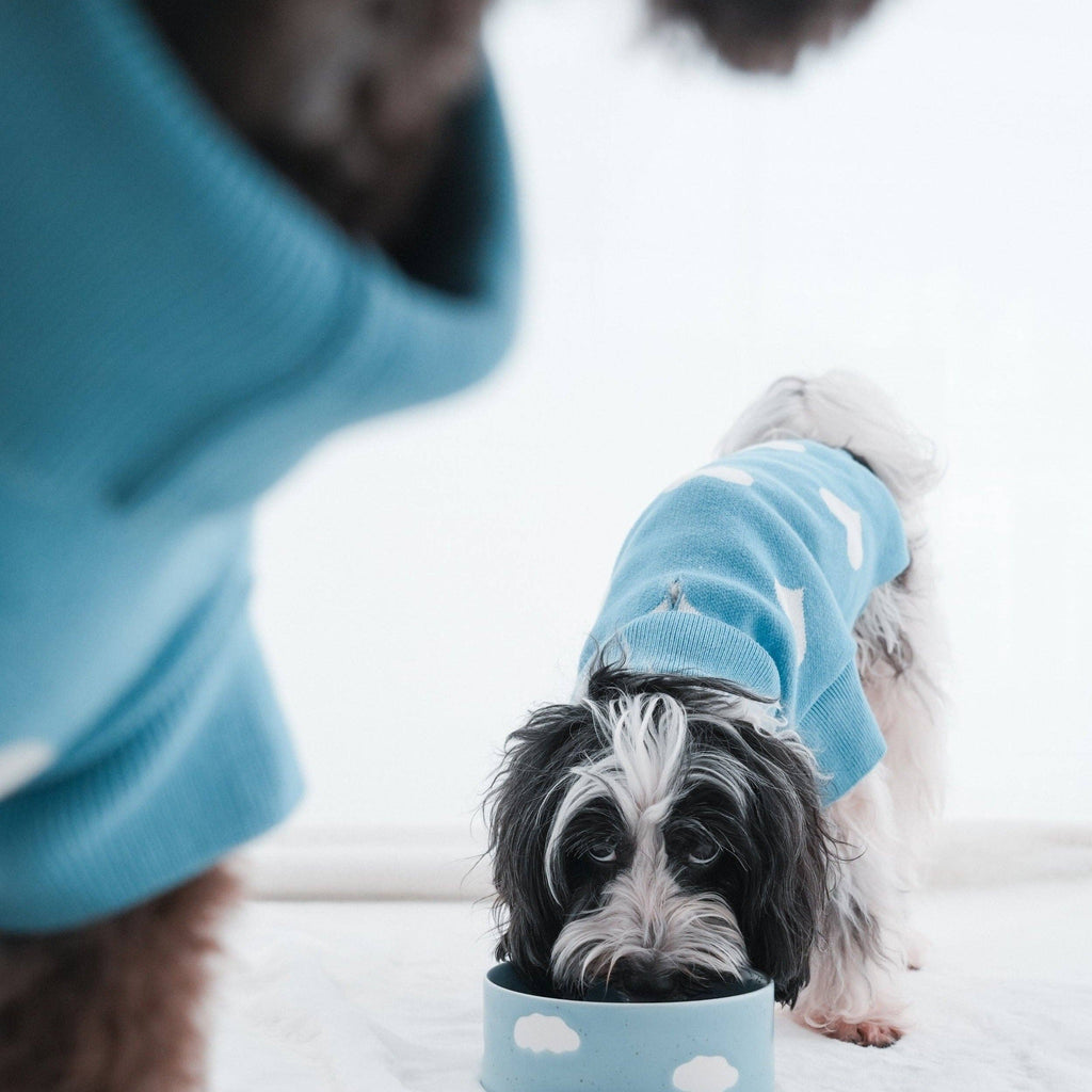 Set of 2 Cloud Pet Bowls 14 cm