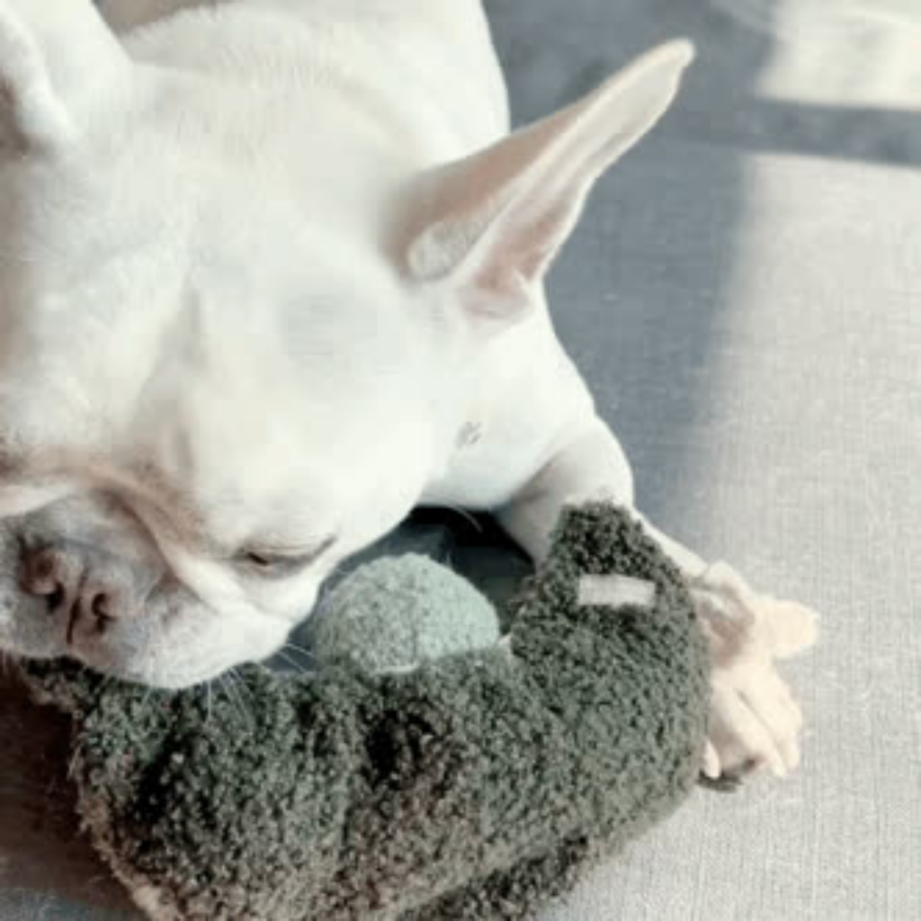 PEA POP // GIOCATTOLO DI ARRICCHIMENTO PER CANI // Giocattolo con squeaker + snuffle*Migliore