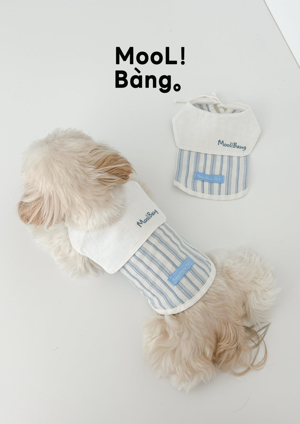 Maglioncino per Cani “Sea Breeze Blowing”