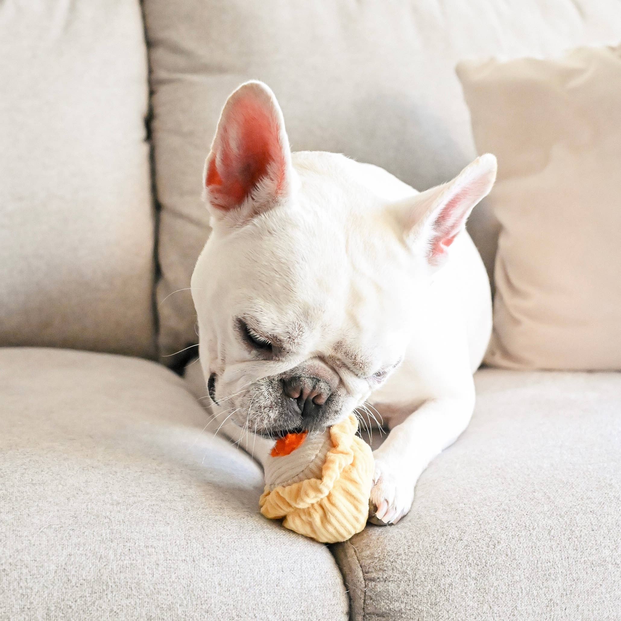 DIM SUM POP // Giocattolo per cani arricchente