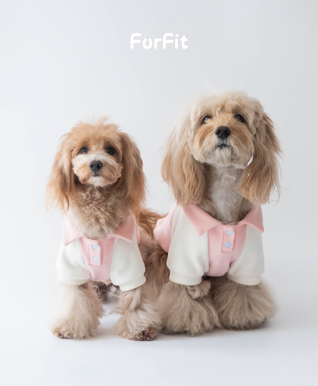 Felpa Invernale per Cani “Warm Fleece”
