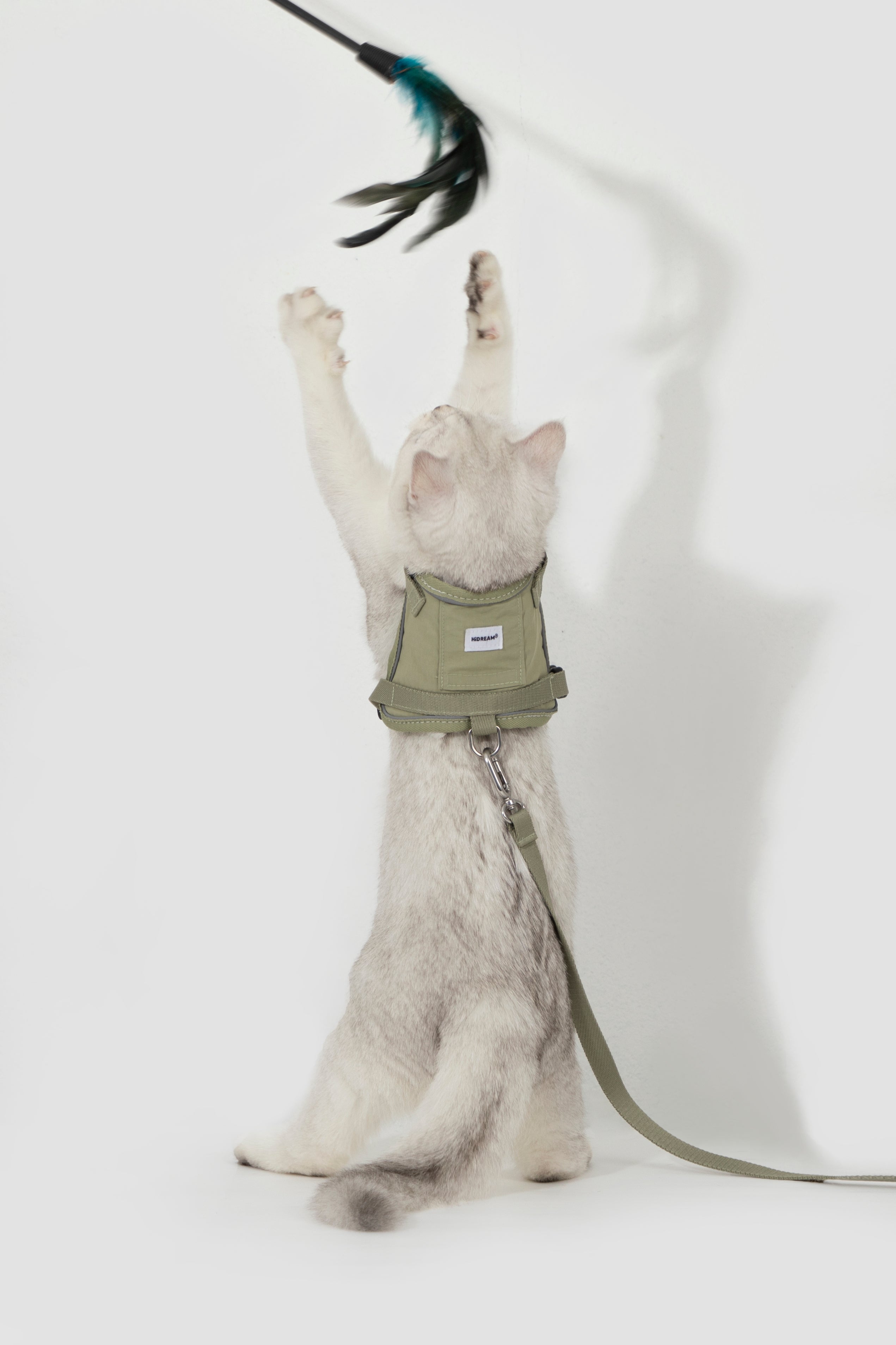 Set Pettorina + Guinzaglio per Gatto