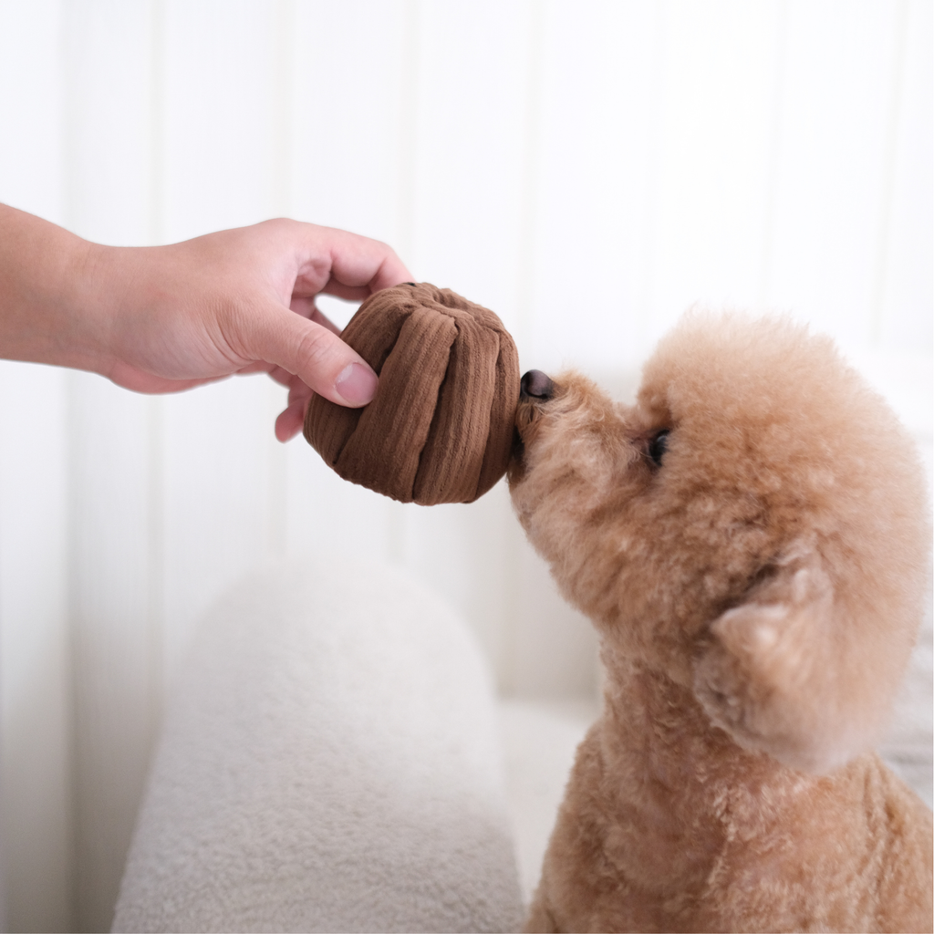 CANELE // GIOCO DI ARRICCHIMENTO PER CANI // Con squeaker + funzione snuffle