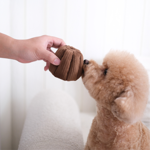 CANELE // GIOCO DI ARRICCHIMENTO PER CANI // Con squeaker + funzione snuffle