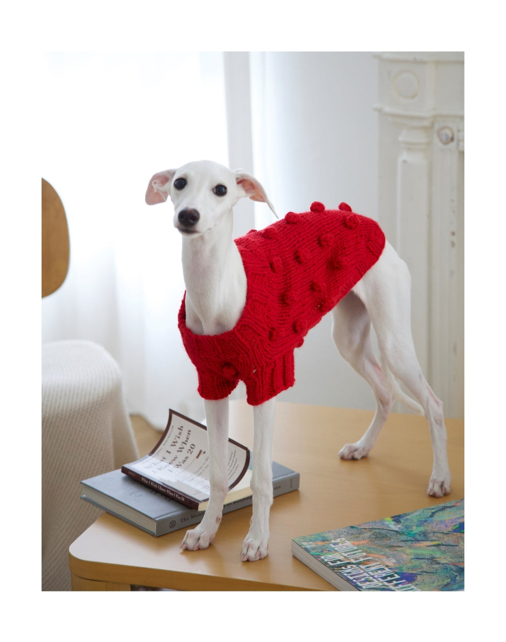 Maglioncino per Cani “Soft Wool Handmade”