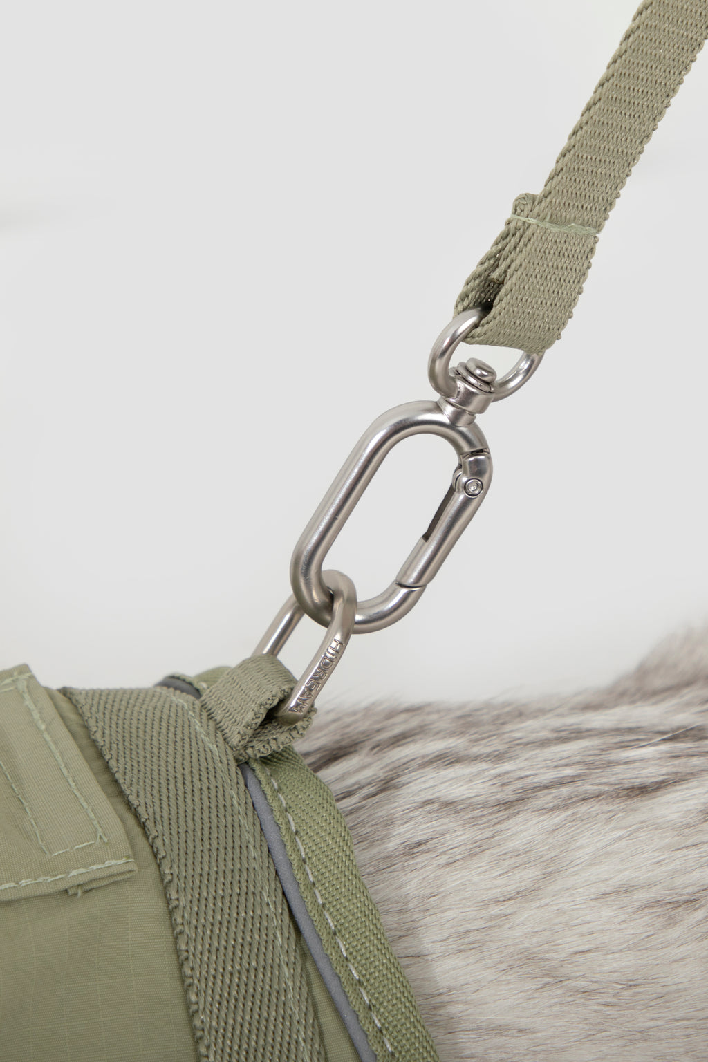 Set Pettorina + Guinzaglio per Gatto