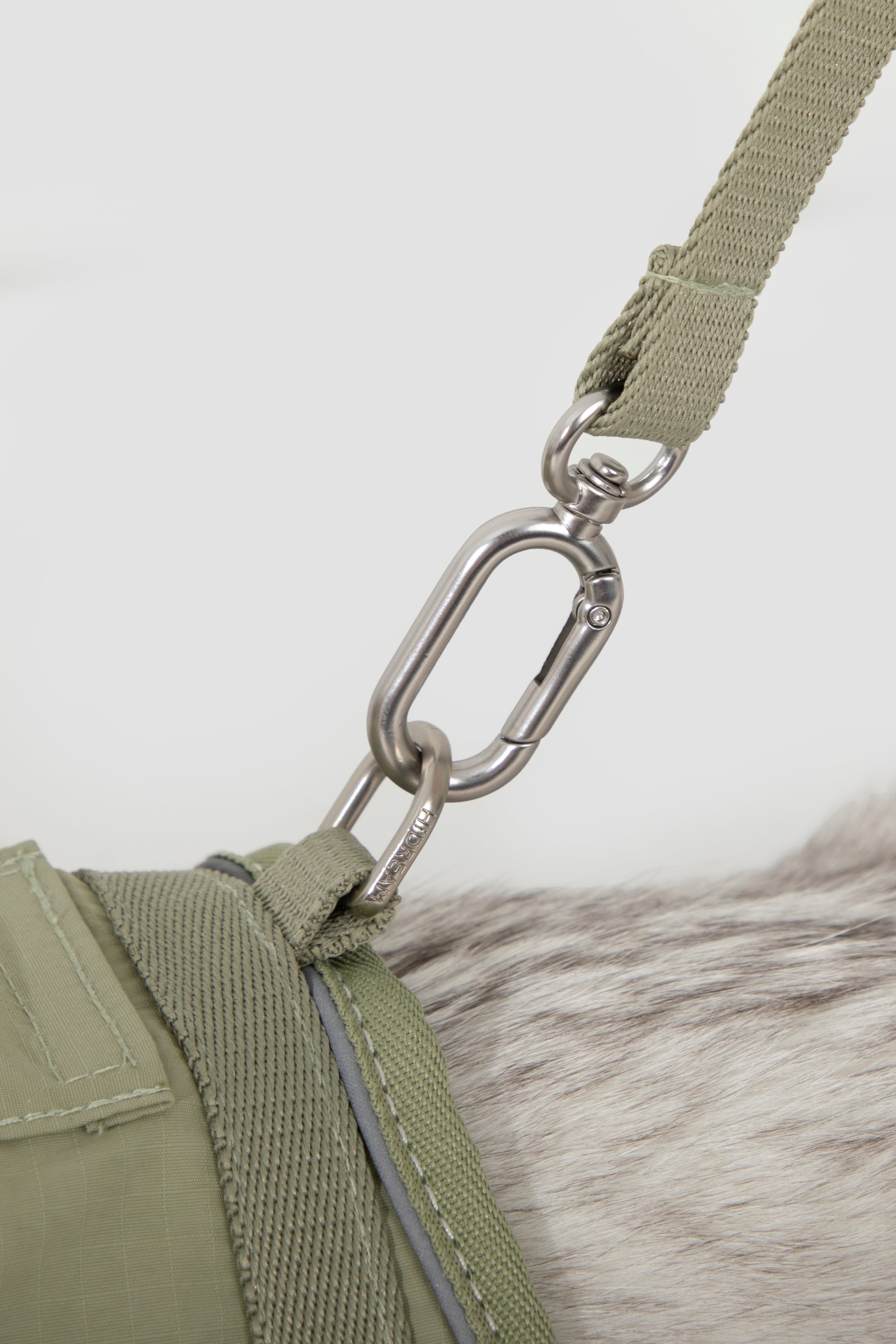 Set Pettorina + Guinzaglio per Gatto