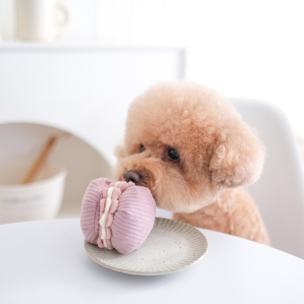 Gioco di arricchimento per cani di piccola taglia 2-in-1 – Lambwolf Collective