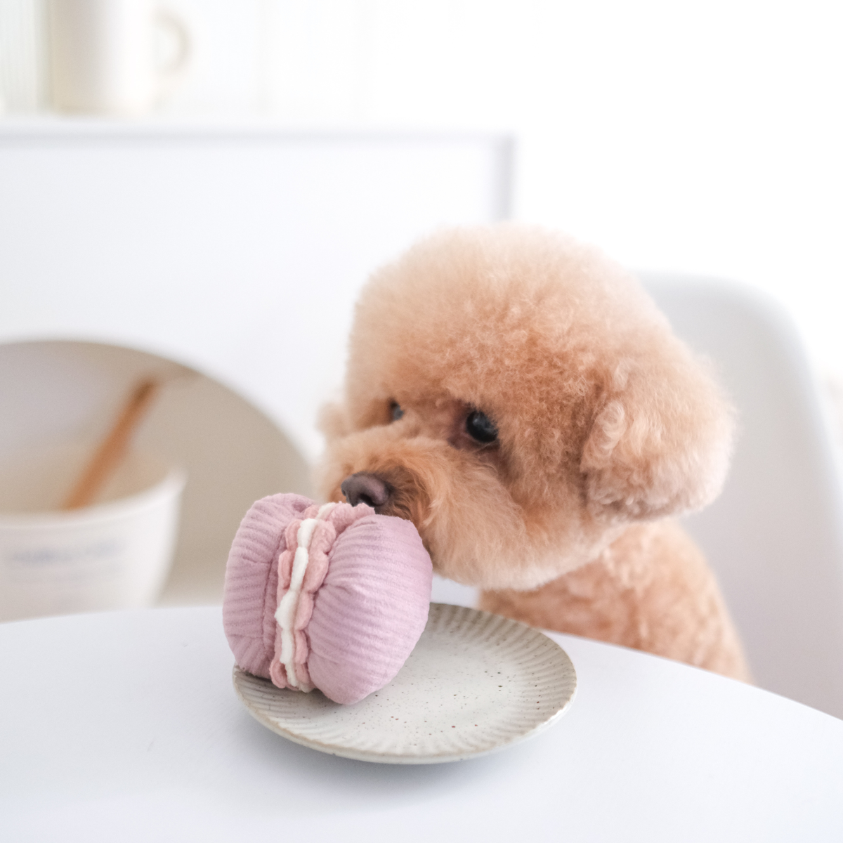 Gioco di arricchimento per cani di piccola taglia 2-in-1 – Lambwolf Collective