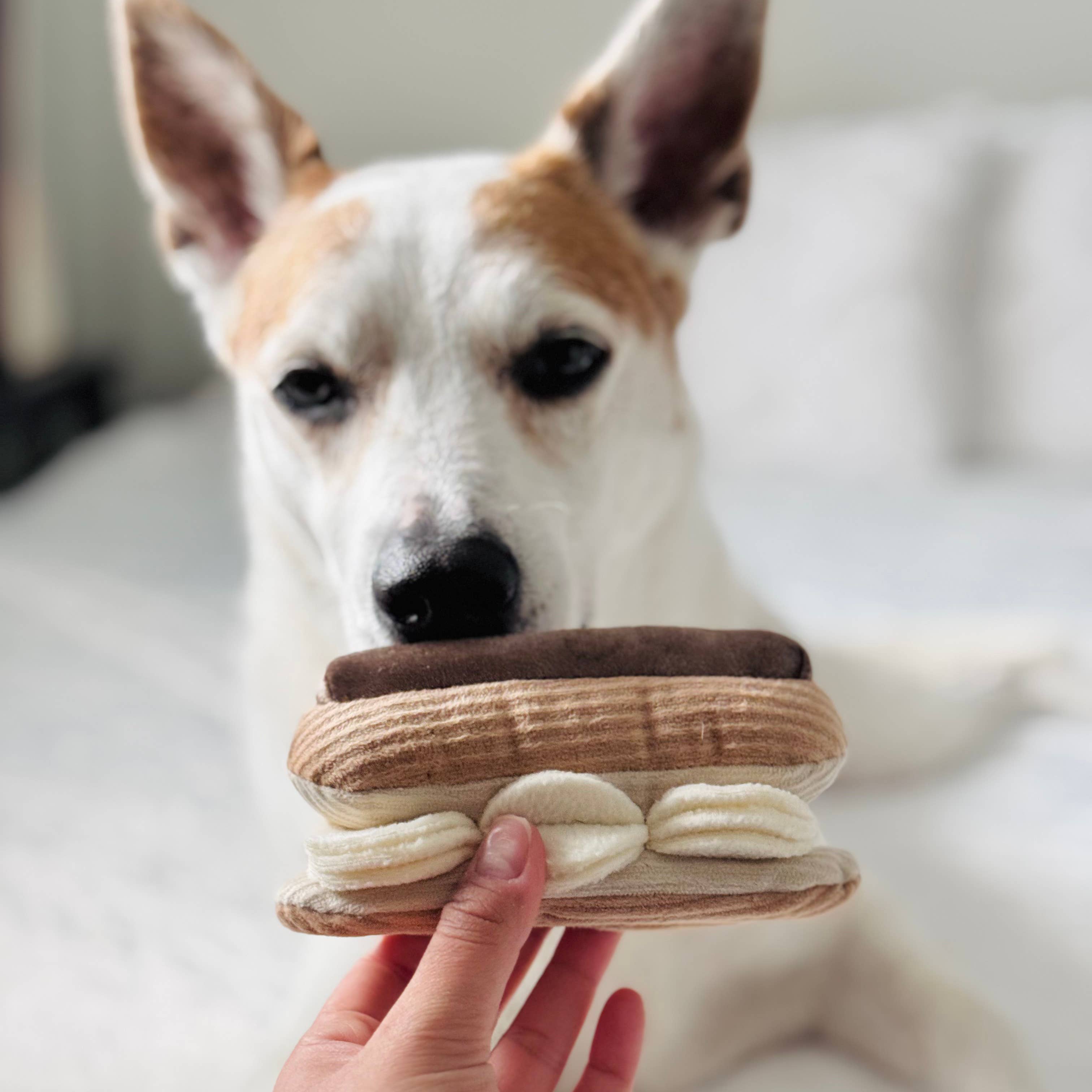 ECLAIR // GIOCO DI ARRICCHIMENTO PER CANI // GIOCO SNUFFLE