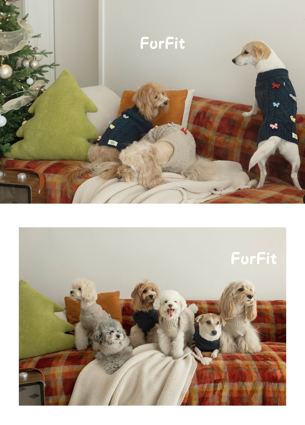 Maglioncino per Cani “Warm Bow”
