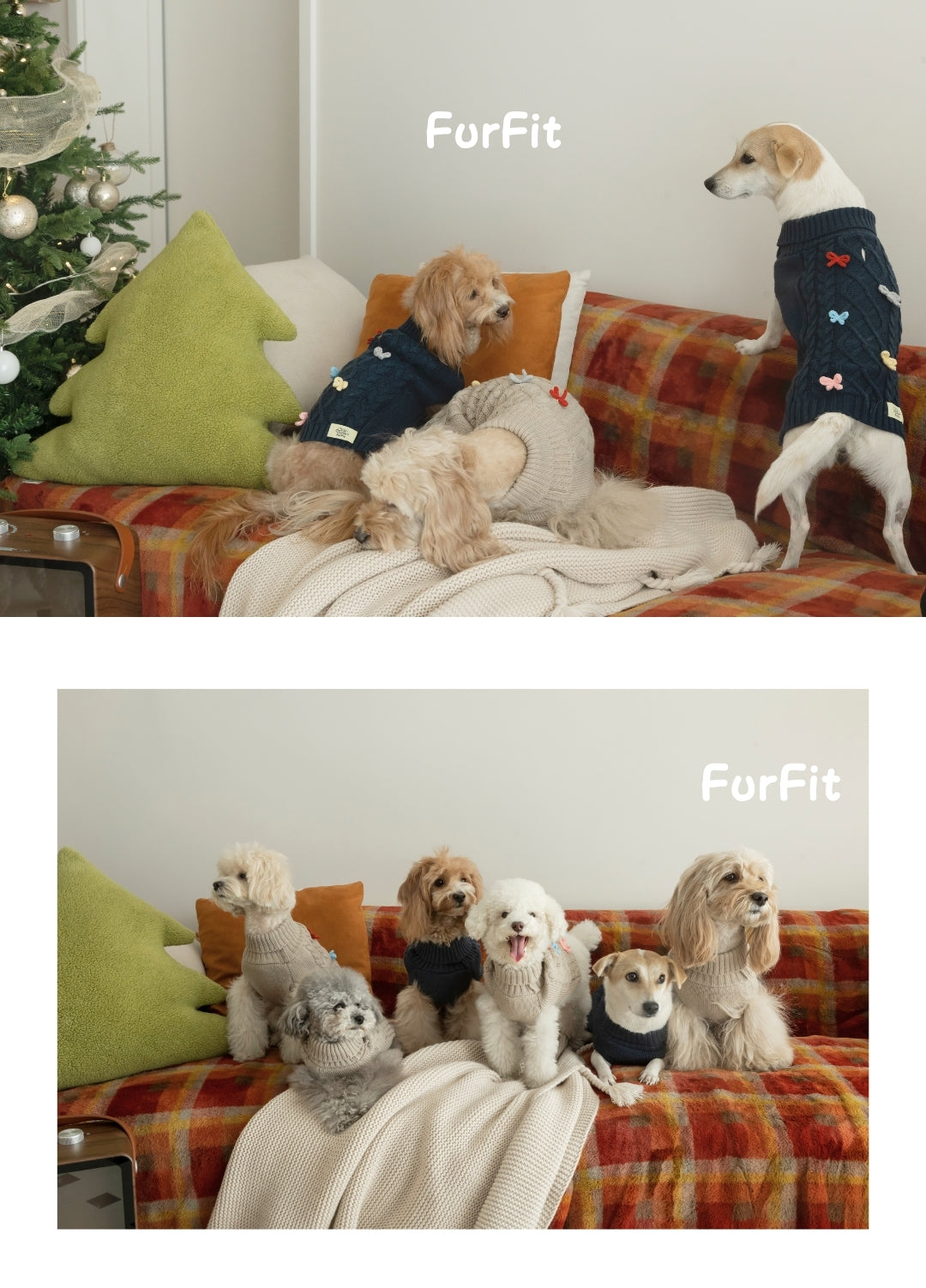 Maglioncino per Cani “Warm Bow”