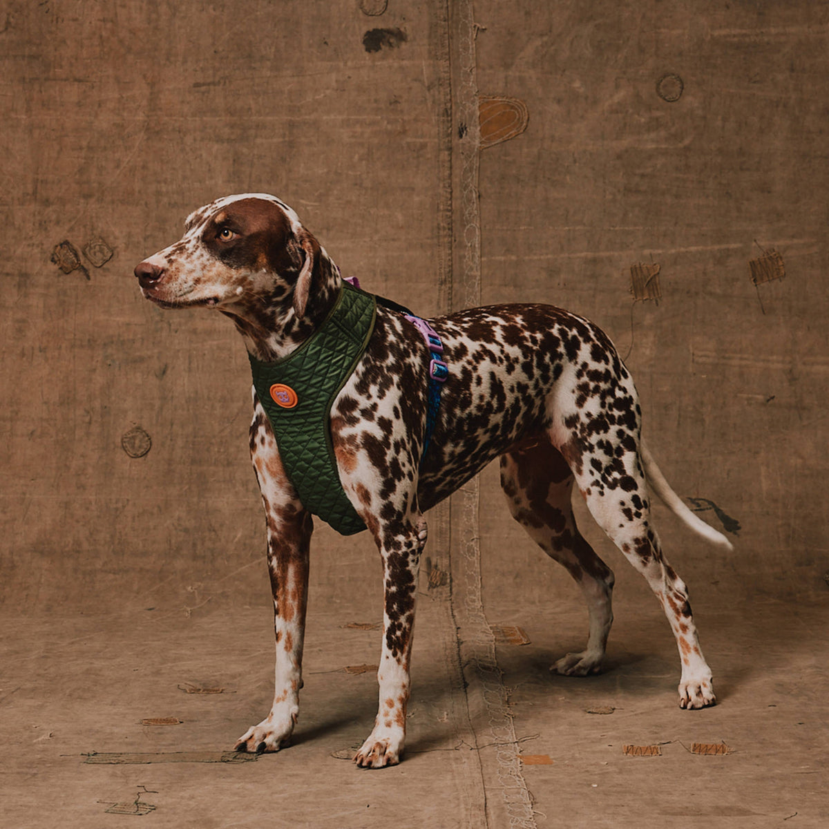 Pettorina regolabile Reebok Trekk – Zee.Dog