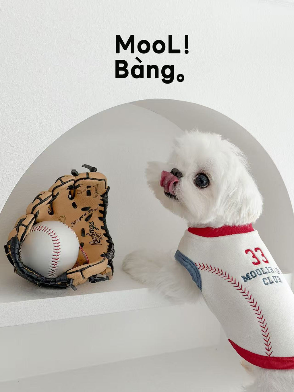 Maglioncino per Cani “Baseball Diary”