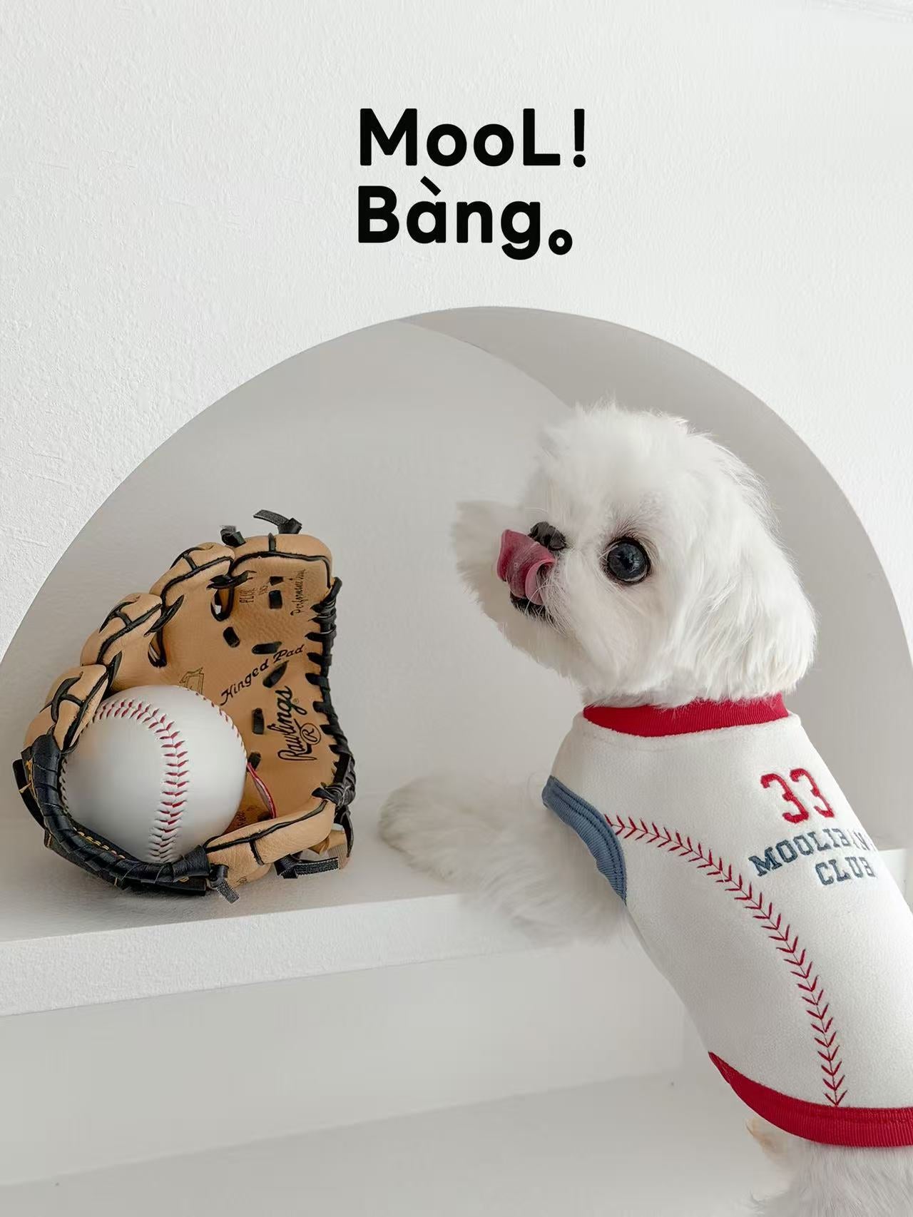 Maglioncino per Cani “Baseball Diary”