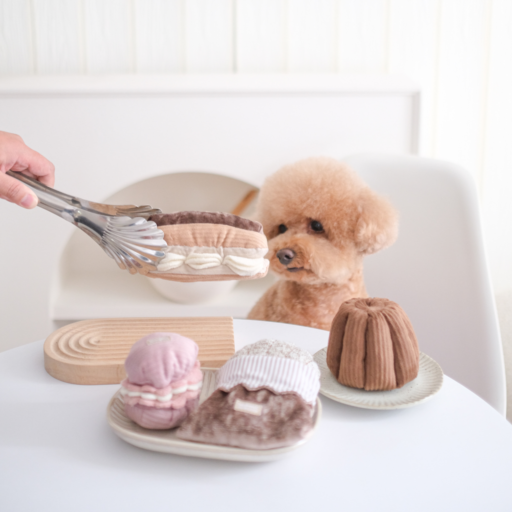ECLAIR // GIOCO DI ARRICCHIMENTO PER CANI // GIOCO SNUFFLE