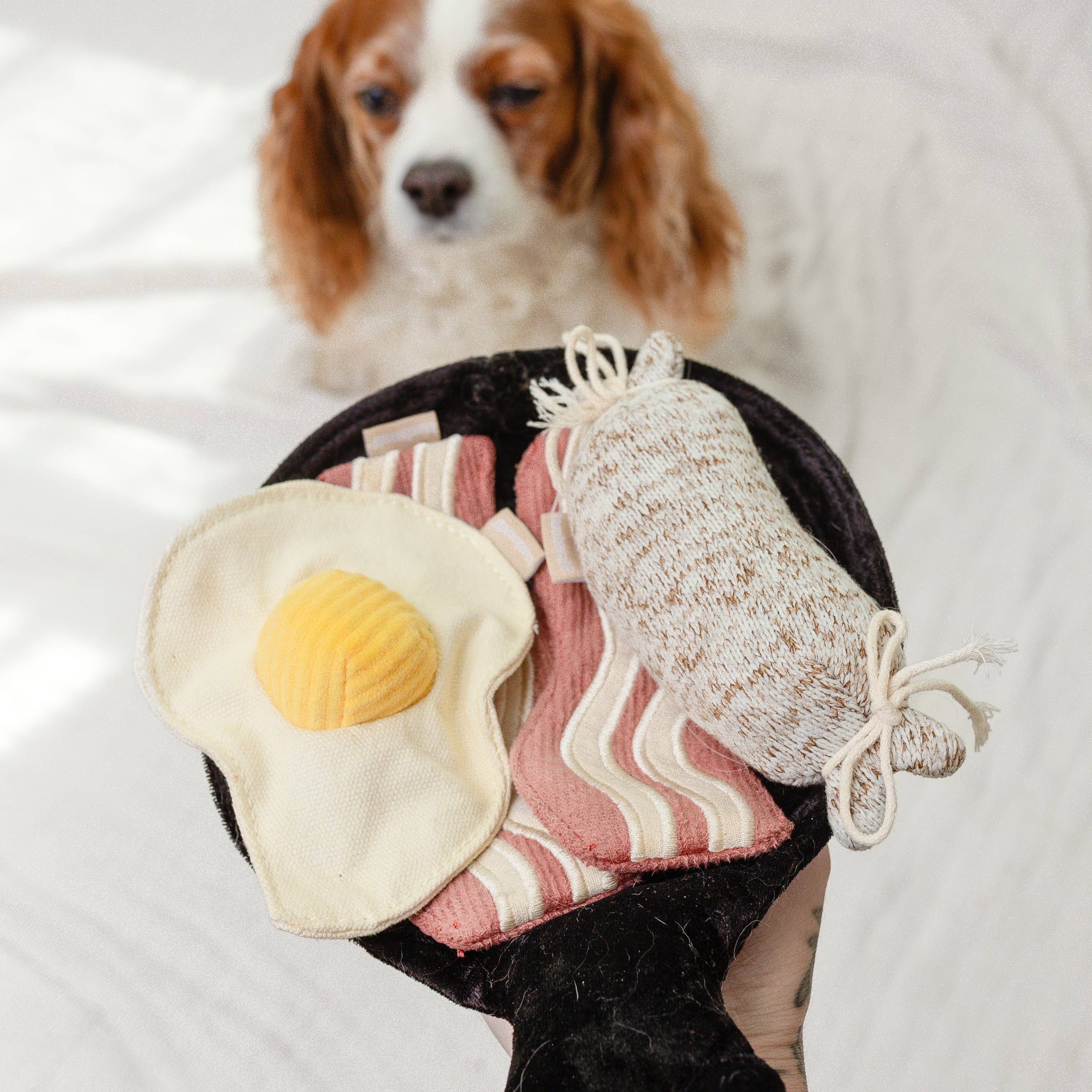 Bfast Set //GIOCATTOLO PER CANI ARRICCHENTE
