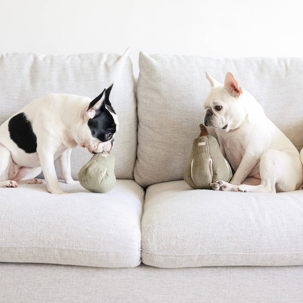 Gioco per cani BUTTERNUT con arricchimento: L