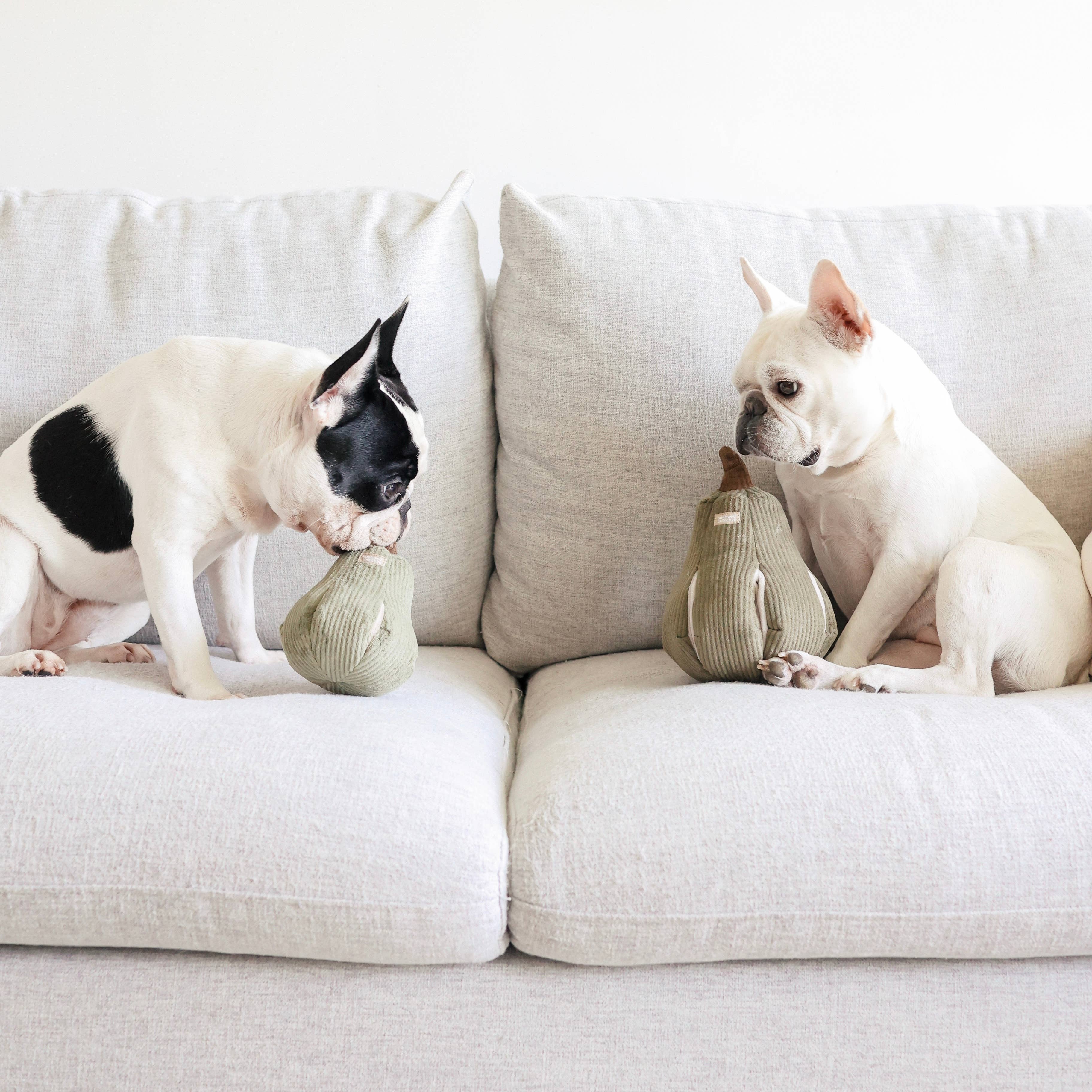 Gioco per cani BUTTERNUT con arricchimento: L