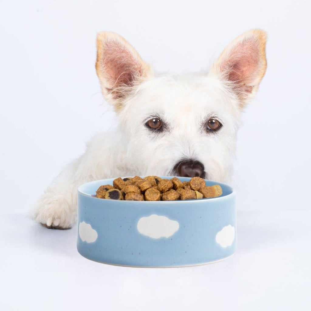 Set of 2 Cloud Pet Bowls 14 cm