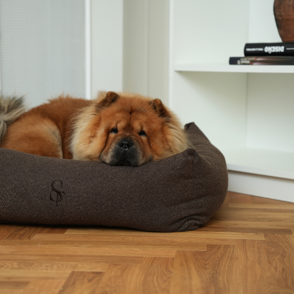 Cuccia Vera per cani, bouclé castagna