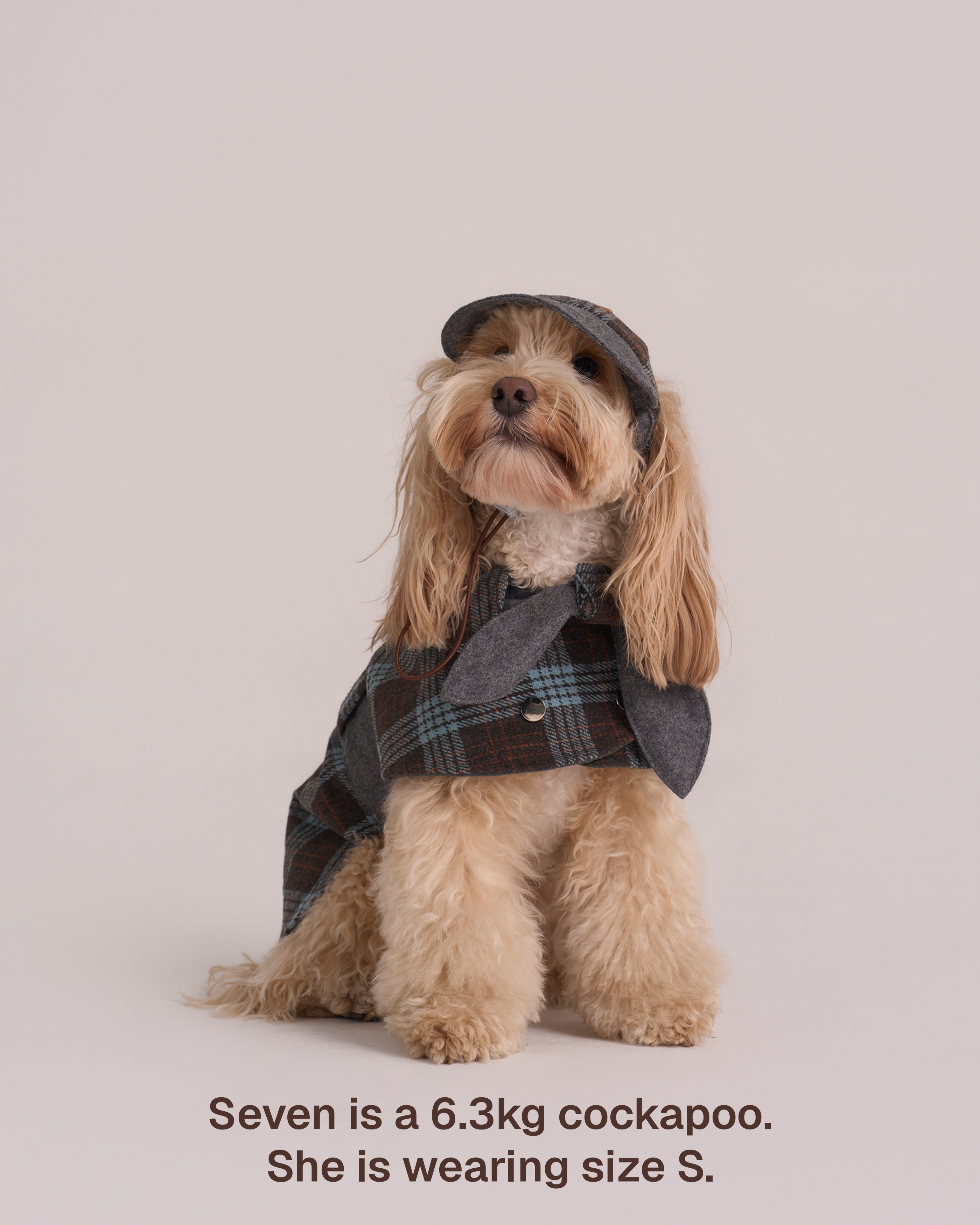 Mantella per Cani Sherlock