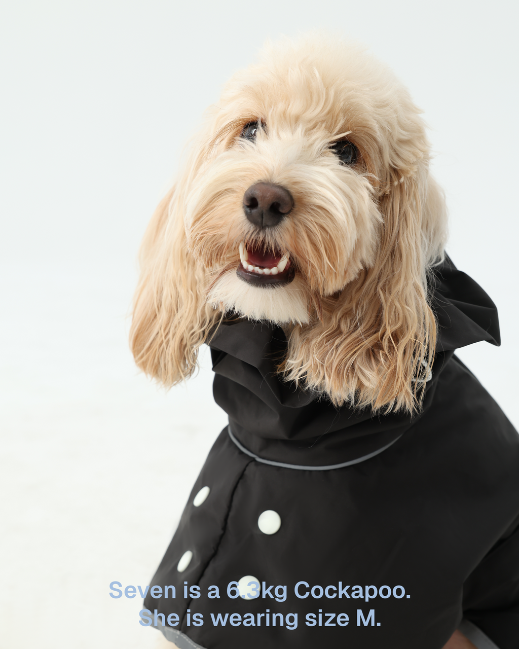 Regenjacke Hund Zumizumi – Hellgrau