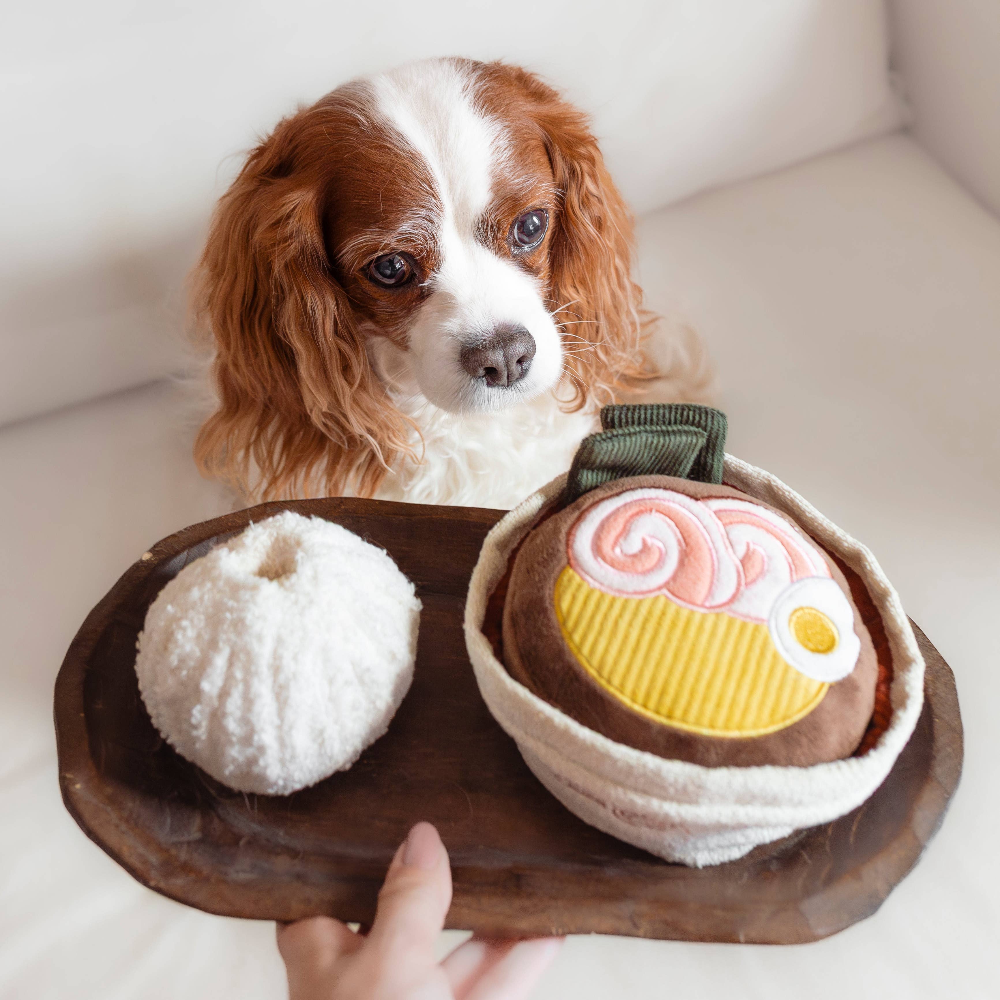Giocattolo per cani RAMEN interattivo