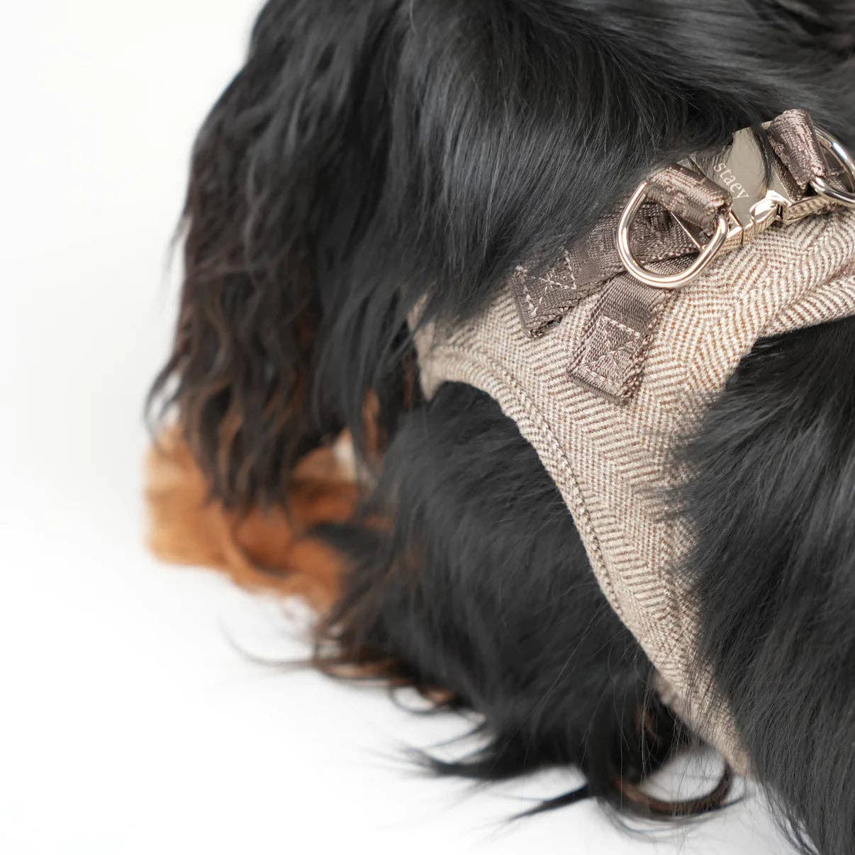Imbracatura Step-In per Cani Saga | Mocca: XL
