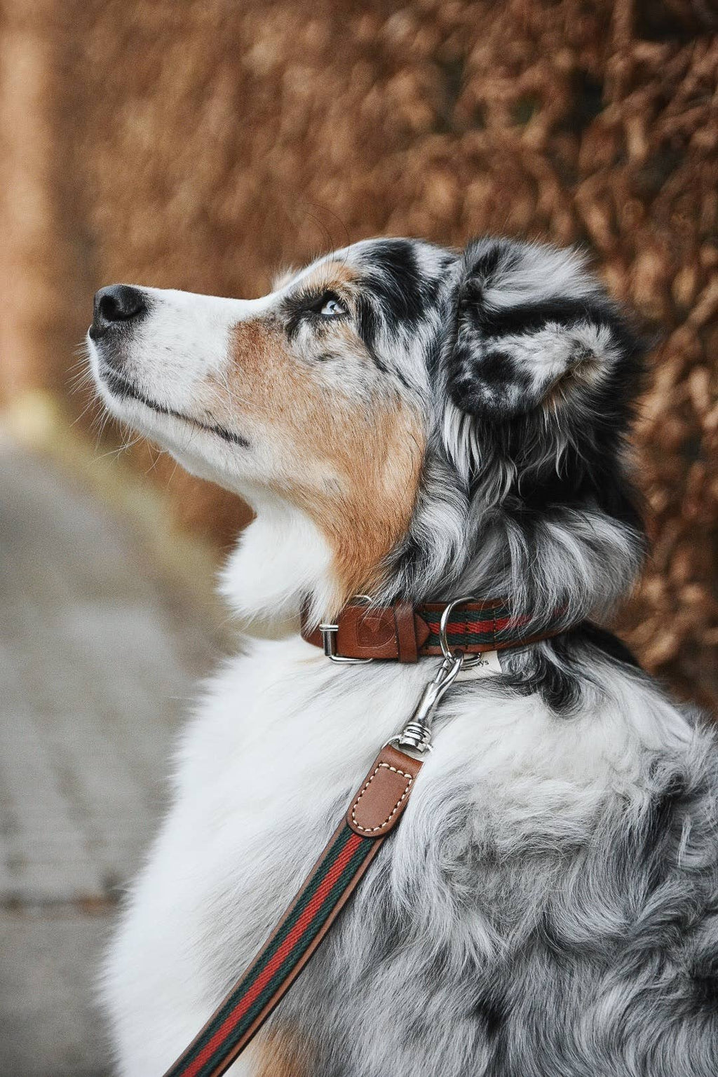 Collare Baseball Green – Buddys Dogwear