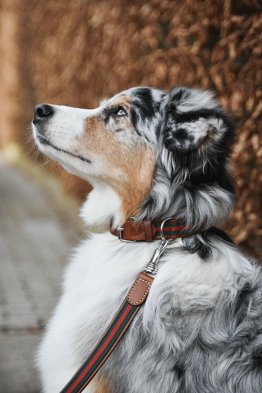 Collare Baseball Green – Buddys Dogwear
