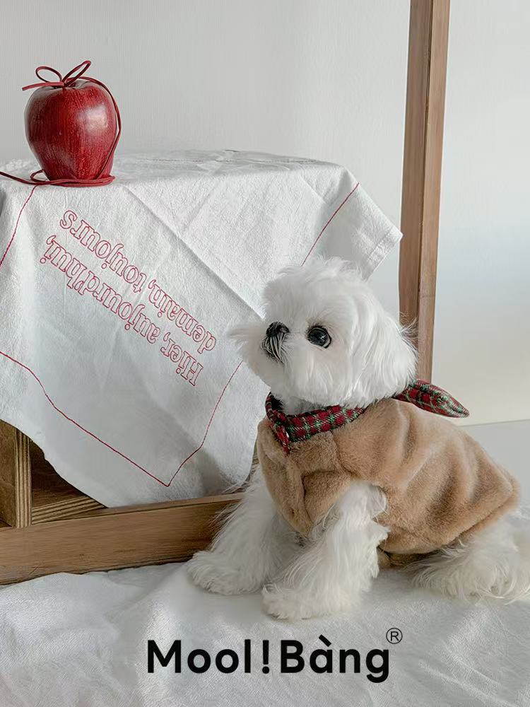 Maglioncino per Cani “Double Gifts”