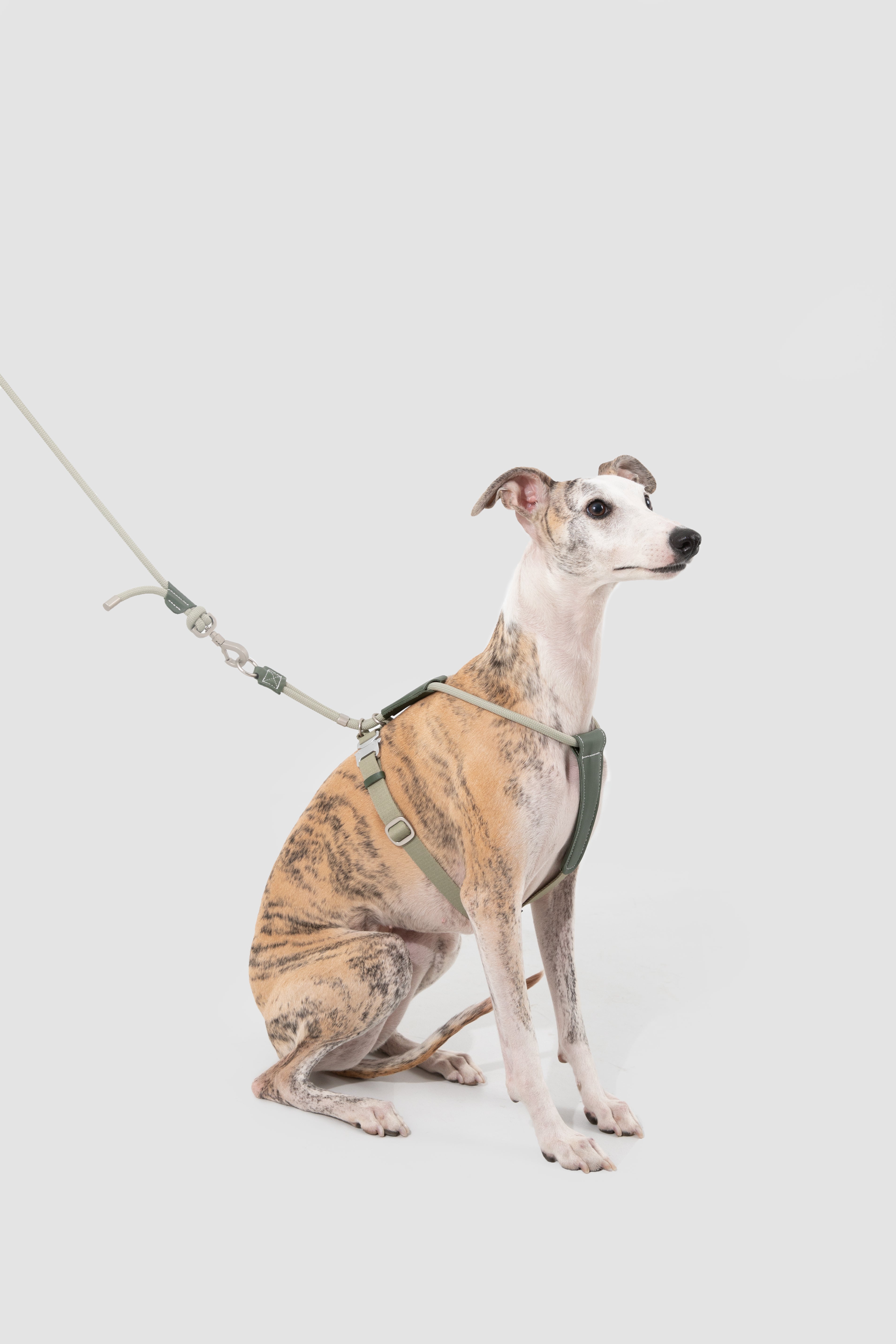 Pettorina in Corda con Dettagli in Pelle – Verde