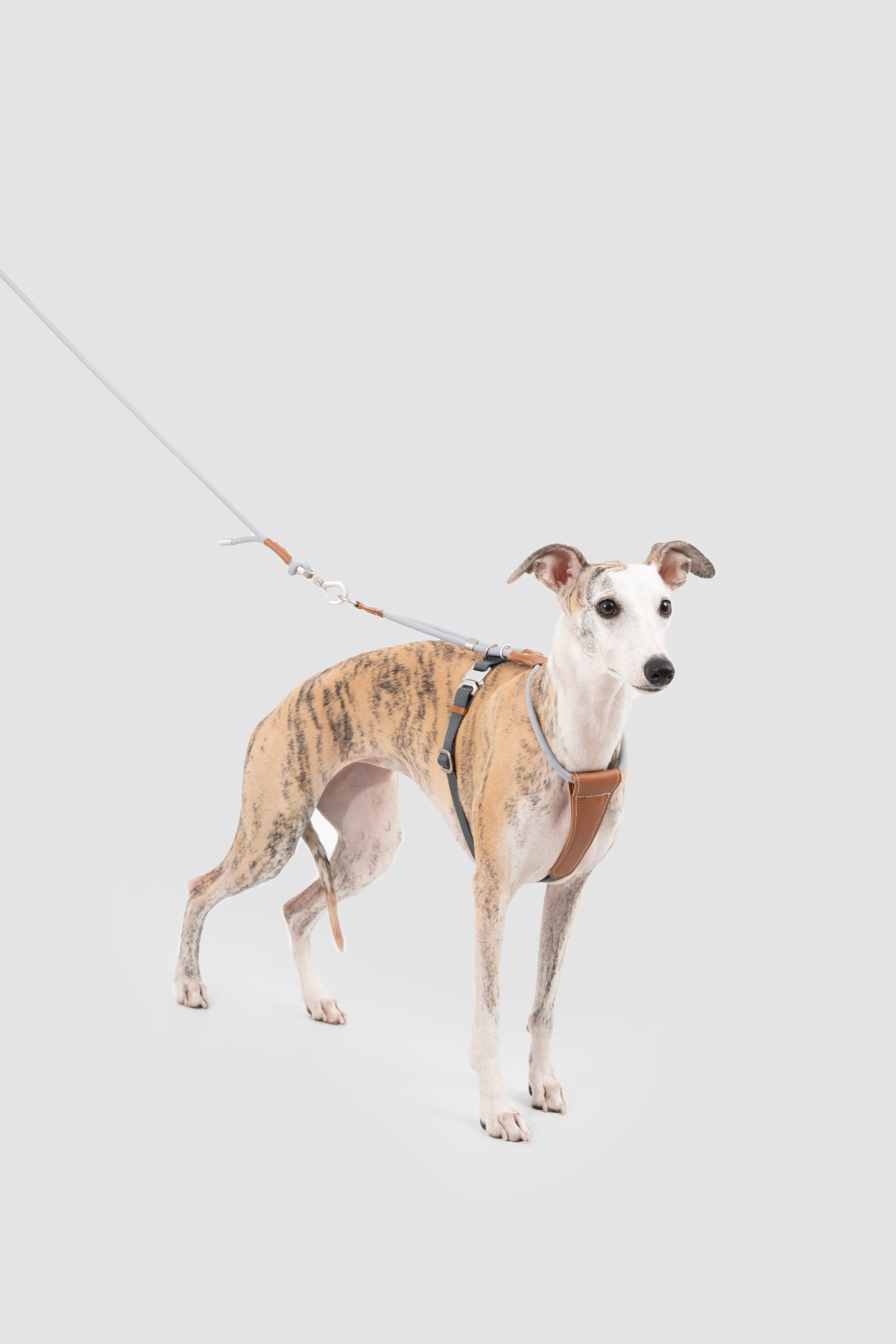 Pettorina in Corda con Dettagli in Pelle – Grigio