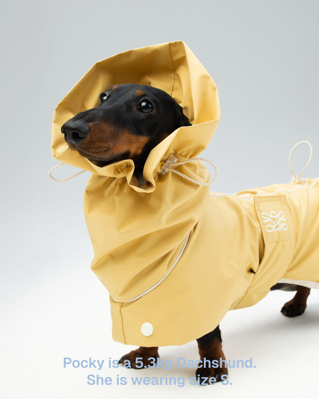 Regenjacke Hund Zumizumi – Hellgrau