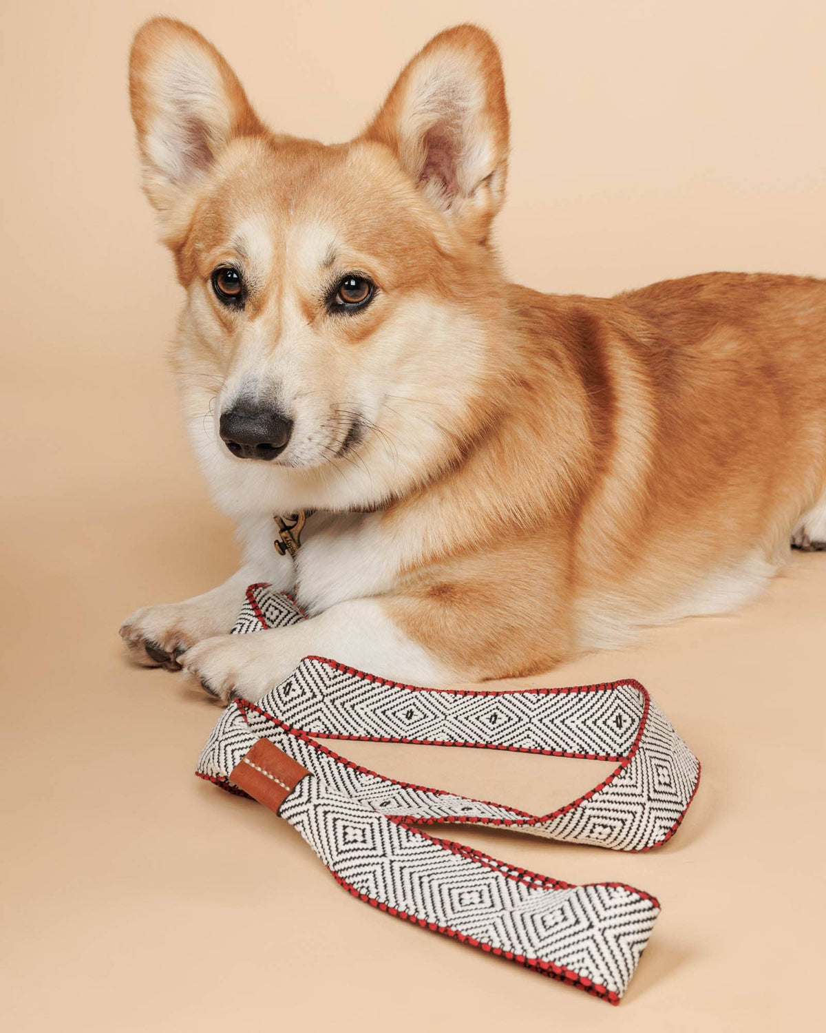 Guinzaglio Capri Beach Day – Buddys Dogwear