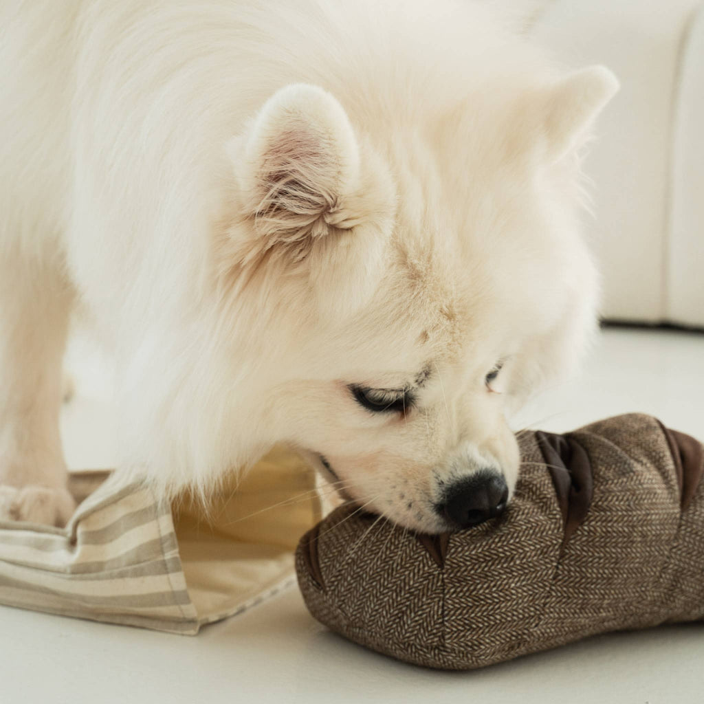 RYE - Gioco Educativo per Cani