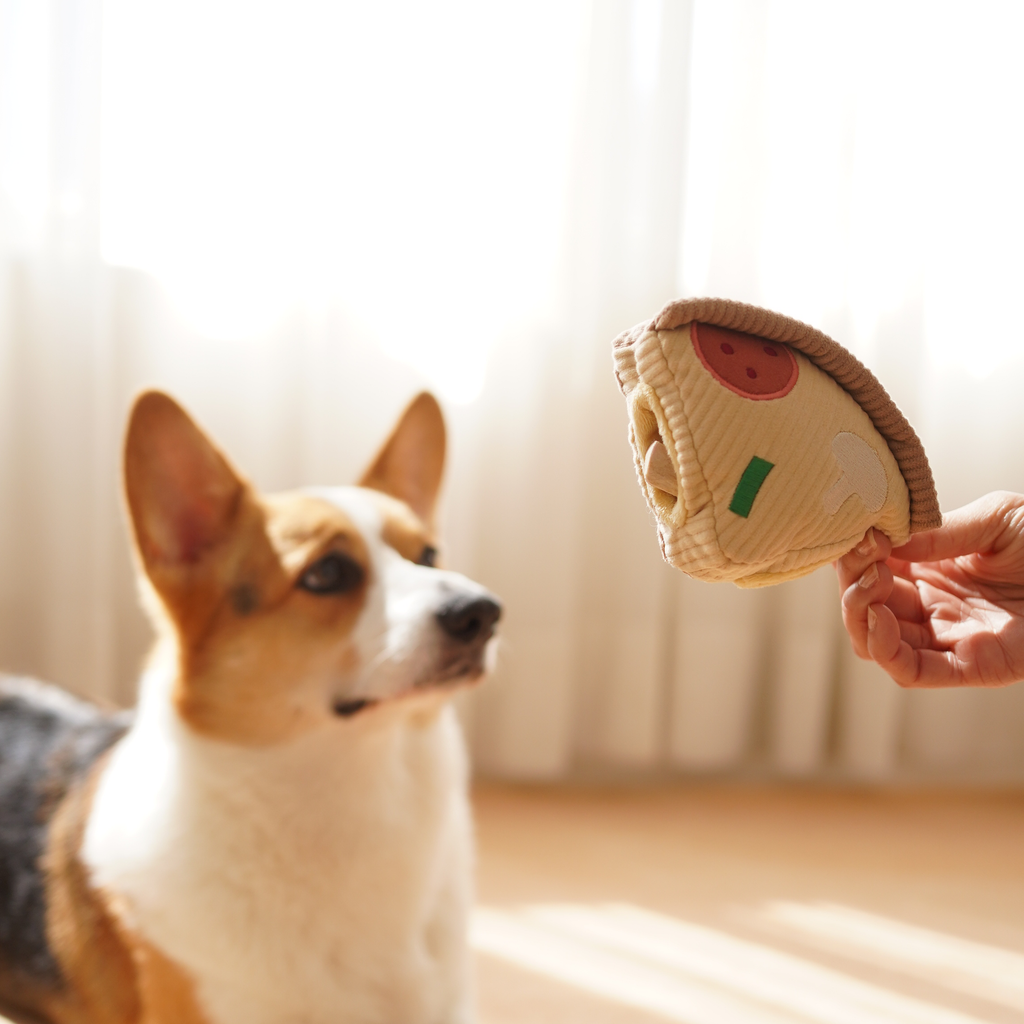 Gioco per cani 'Deep Dish Pizza' per arricchimento