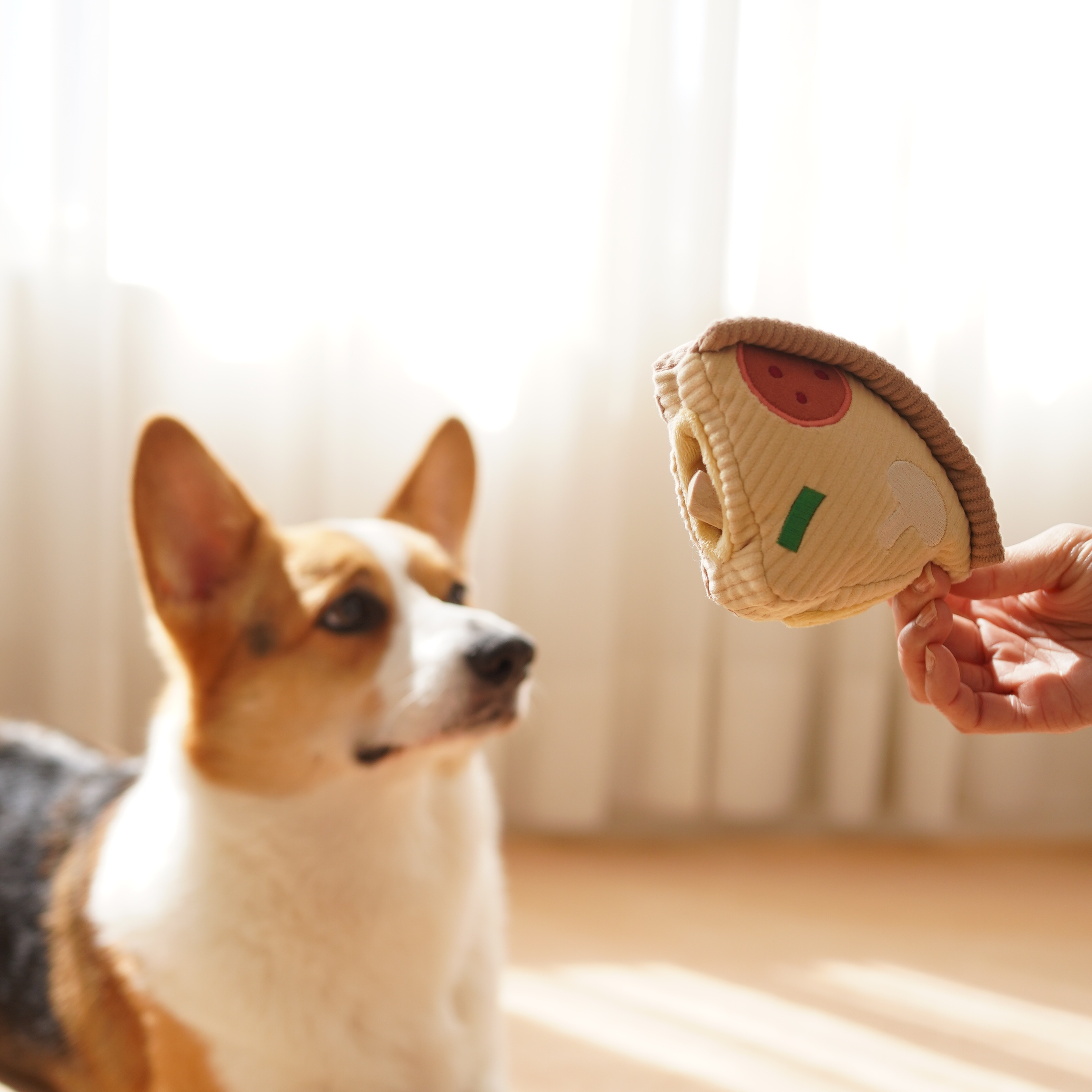 Gioco per cani 'Deep Dish Pizza' per arricchimento