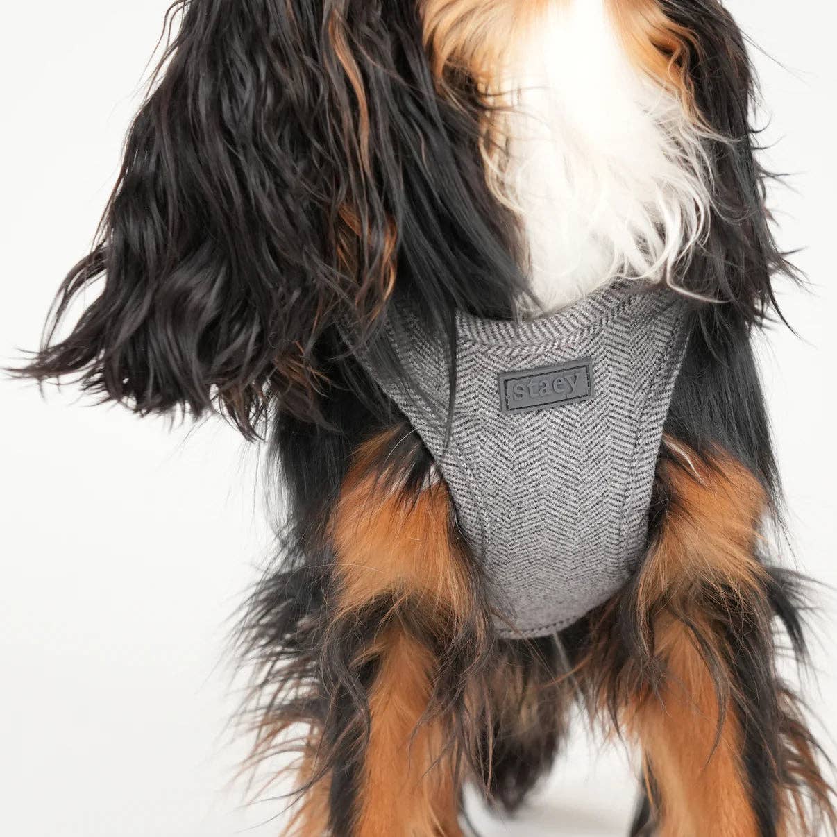 Pettorina Step-In per Cani Saga | Blu Polvere: M