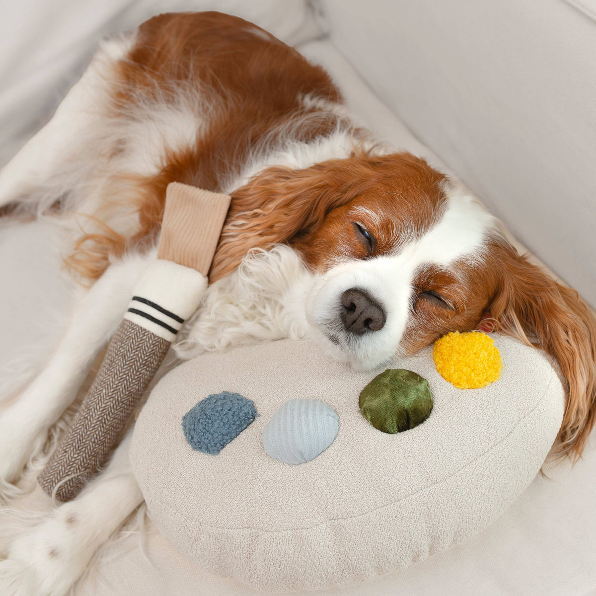 Gioco educativo per cani COLOR PALETTE – Lambwolf Collective