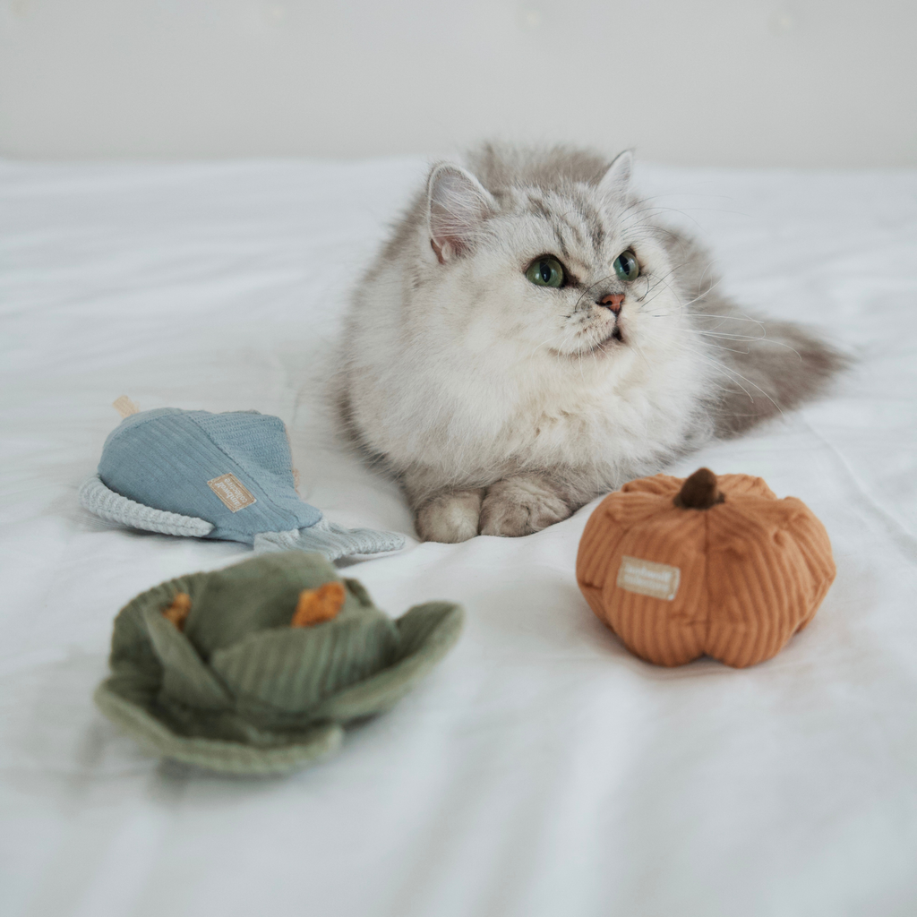 SET VEGETARIANO PER GATTINI